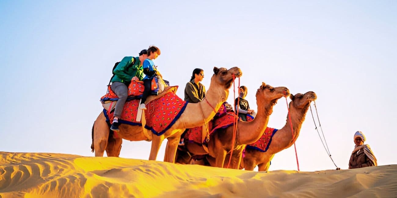 Camel Safari in Jaisalmer