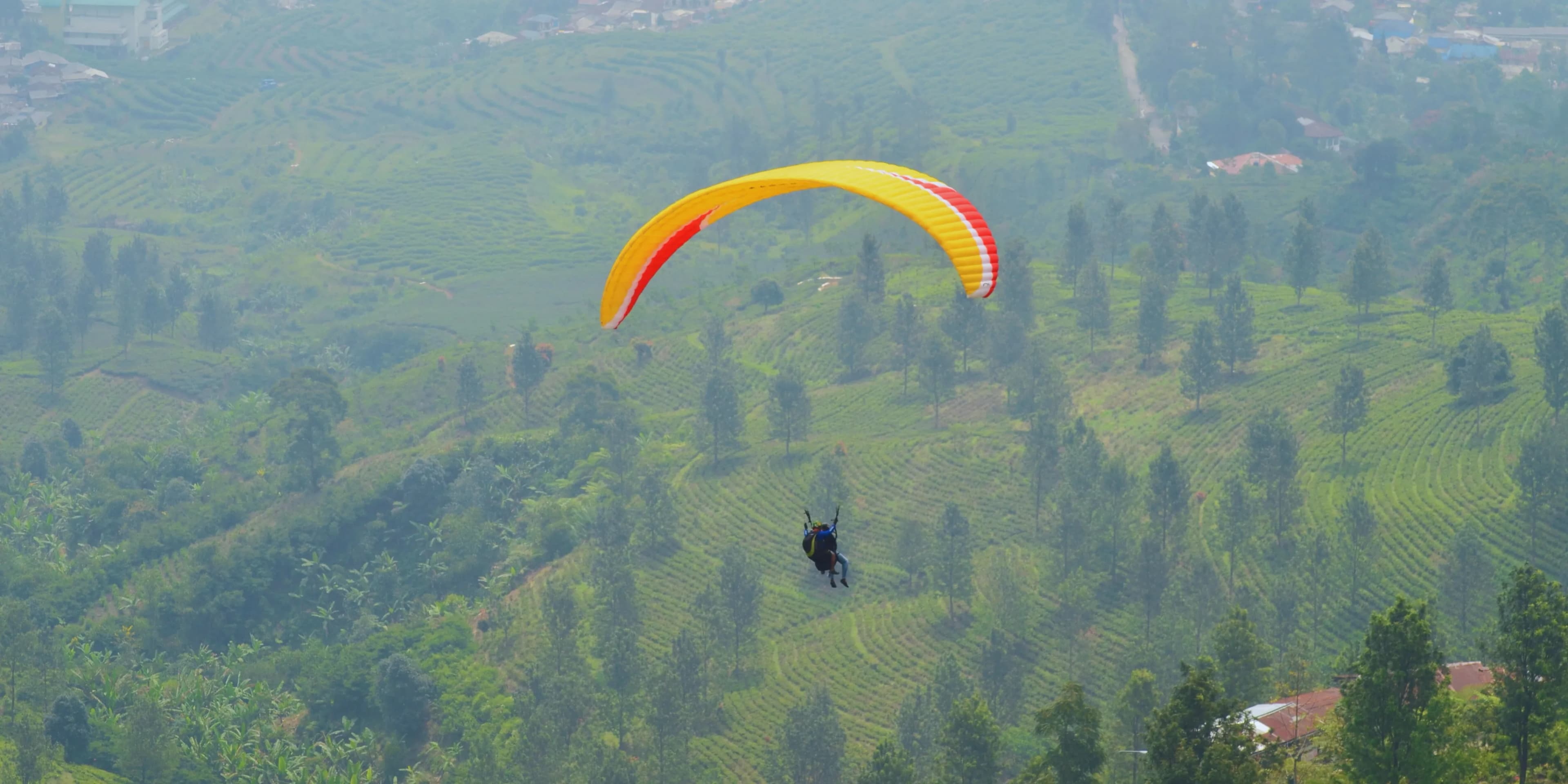 Paragliding in Dharmshala