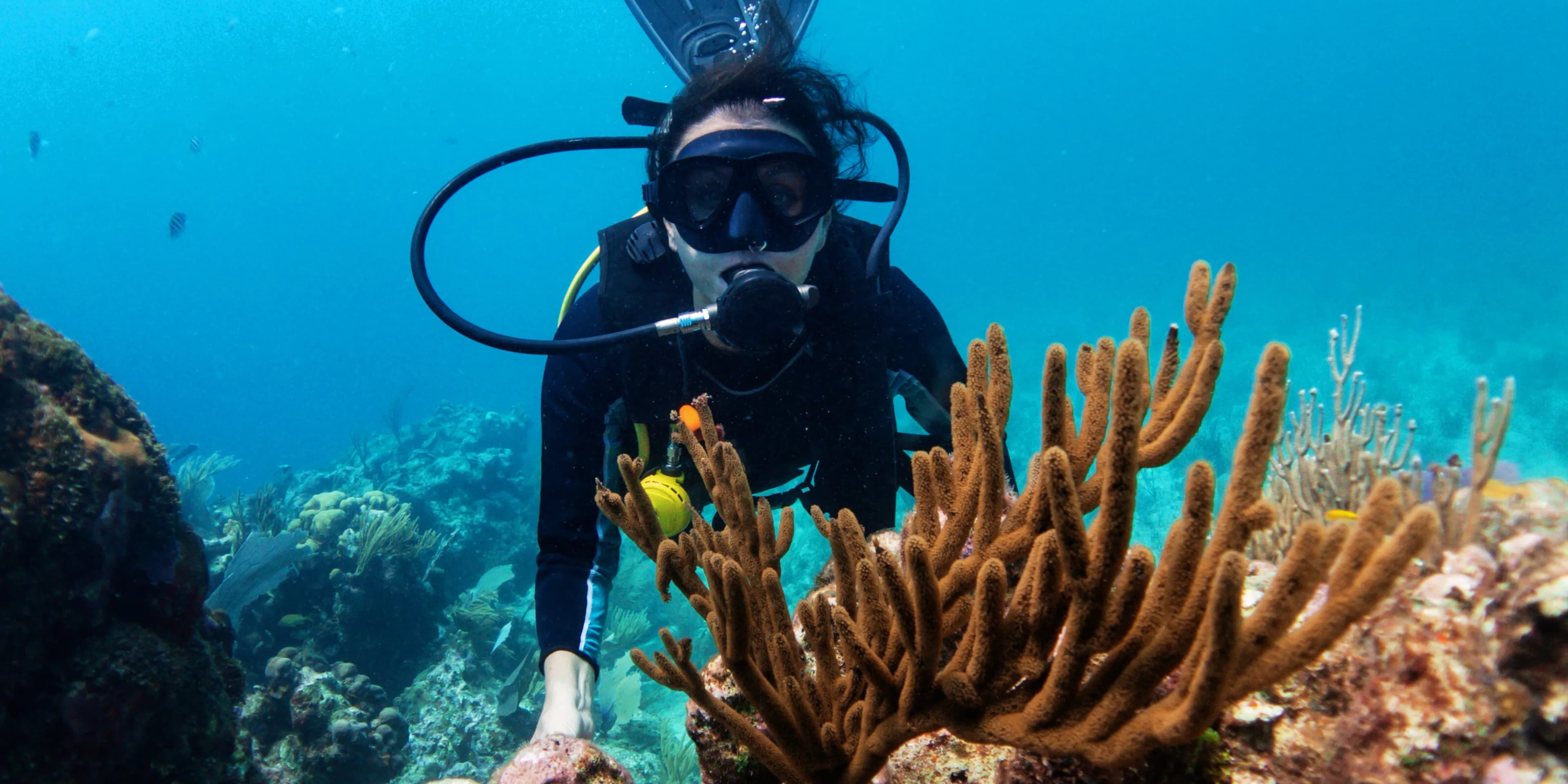 Scuba Diving